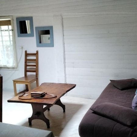 Meounes-les-Montrieux Cabanon 50M2ヴィラ エクステリア 写真